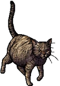 Leafstar.queen