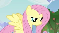 Fluttershy shocked "such language!" S03E10
