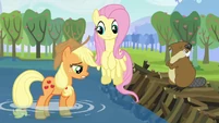 Applejack apologizes to the beaver S03E10