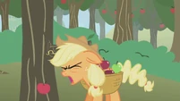Applejack hitting her head S1E4