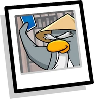 Sensei BG