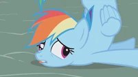Rainbow Dash S1E06 crash 2