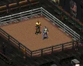 Boxing time.png