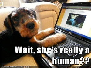Humanhoax