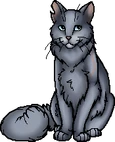Bluestar.leader