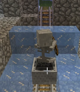 Skeleton in minecart