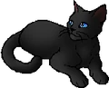 Rainwhisker.star