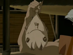 Two headed fish