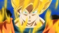 DBHUMAnime20