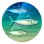 Fish (Civ5)