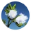 Cotton (Civ5)
