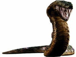 Serpiente Yawn Resident Evil Remake 1yawn1