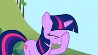 Twilight Sparkle facehoof S1E4