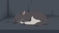 Azu-nyan 2 sleeping.png