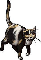Dappletail.queen