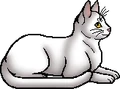 Cloud (Storm).elder