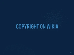 Copyright webinar Slide25