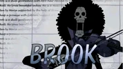 Brook opening 11