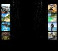 Thumbnail for version as of 03:10, January 26, 2013