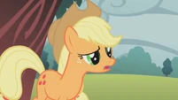 Applejack talks to Rarity S1E08