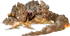 Earth Elementum