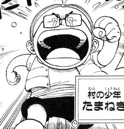 Tamanegi Manga Pre Timeskip Infobox