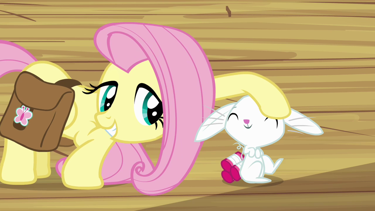 http://images3.wikia.nocookie.net/__cb20130127120658/mlp/images/6/6d/Fluttershy_petting_Angel_S03E11.png