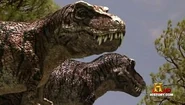 RexCouple