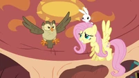 Fluttershy and Owlowiscious in the air S03E11