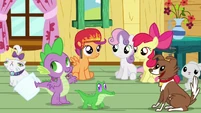 Spike, the CMC and the pets S3E11