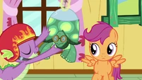 Spike pushing Tank towards Scootaloo S3E11