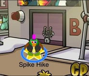 Spike PEEK HP