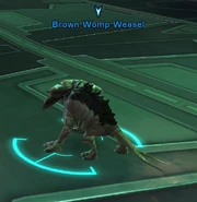 Brown Womp Weasel