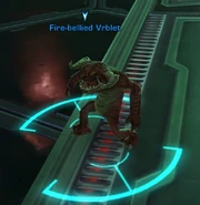 Fire-bellied Vrblet