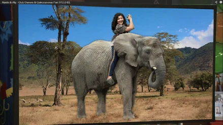 Trish Elephant