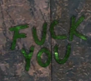 FoNV Fuck You