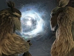 Portal-species