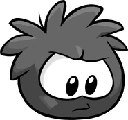 BLACKpuffle