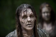 3A Walker 7