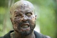 3A Walker 14