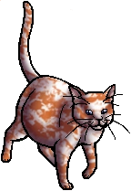 Nettlespot.queen