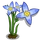 Bluets-icon
