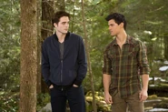 Edward y jacob