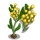 Golden Wattle-icon