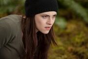 VampireBella aodb