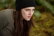 VampireBella aodb