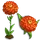 Orange Zinnia-icon
