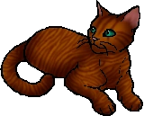 Maplestar.star