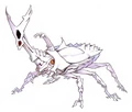 Beetle 05.jpg