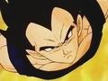 DBZ - 252 - Ready To Fuse-(033267)13-32-39-